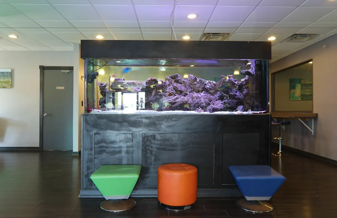 Emerald Coast Inn & Suites-1